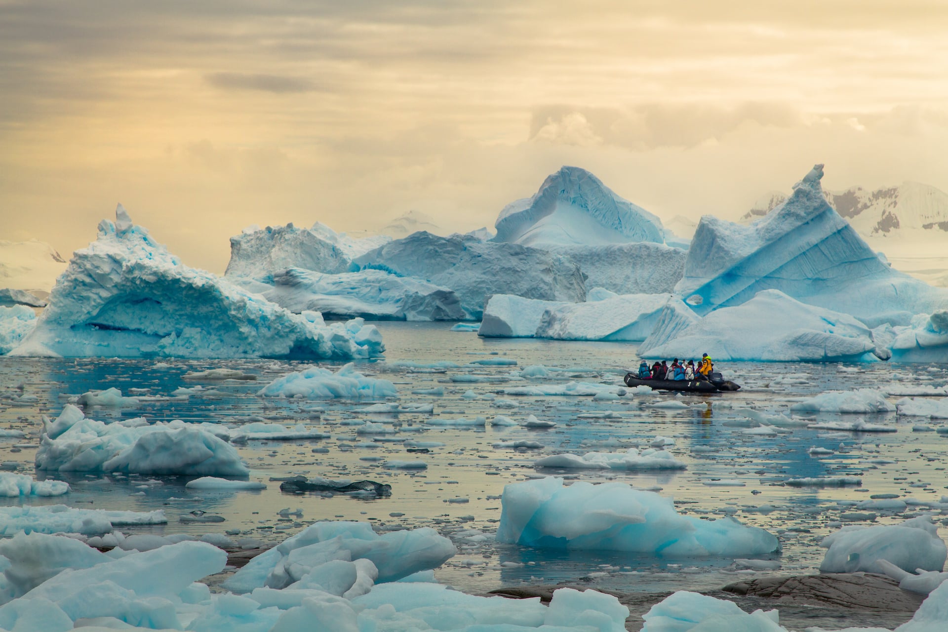 antarctica wild nature landscape