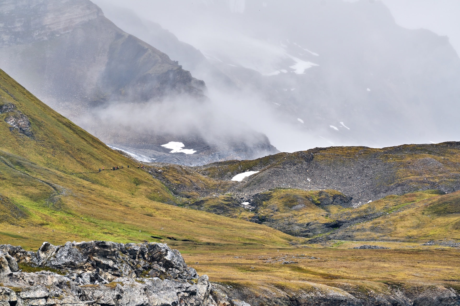 údolí vousů svalbard