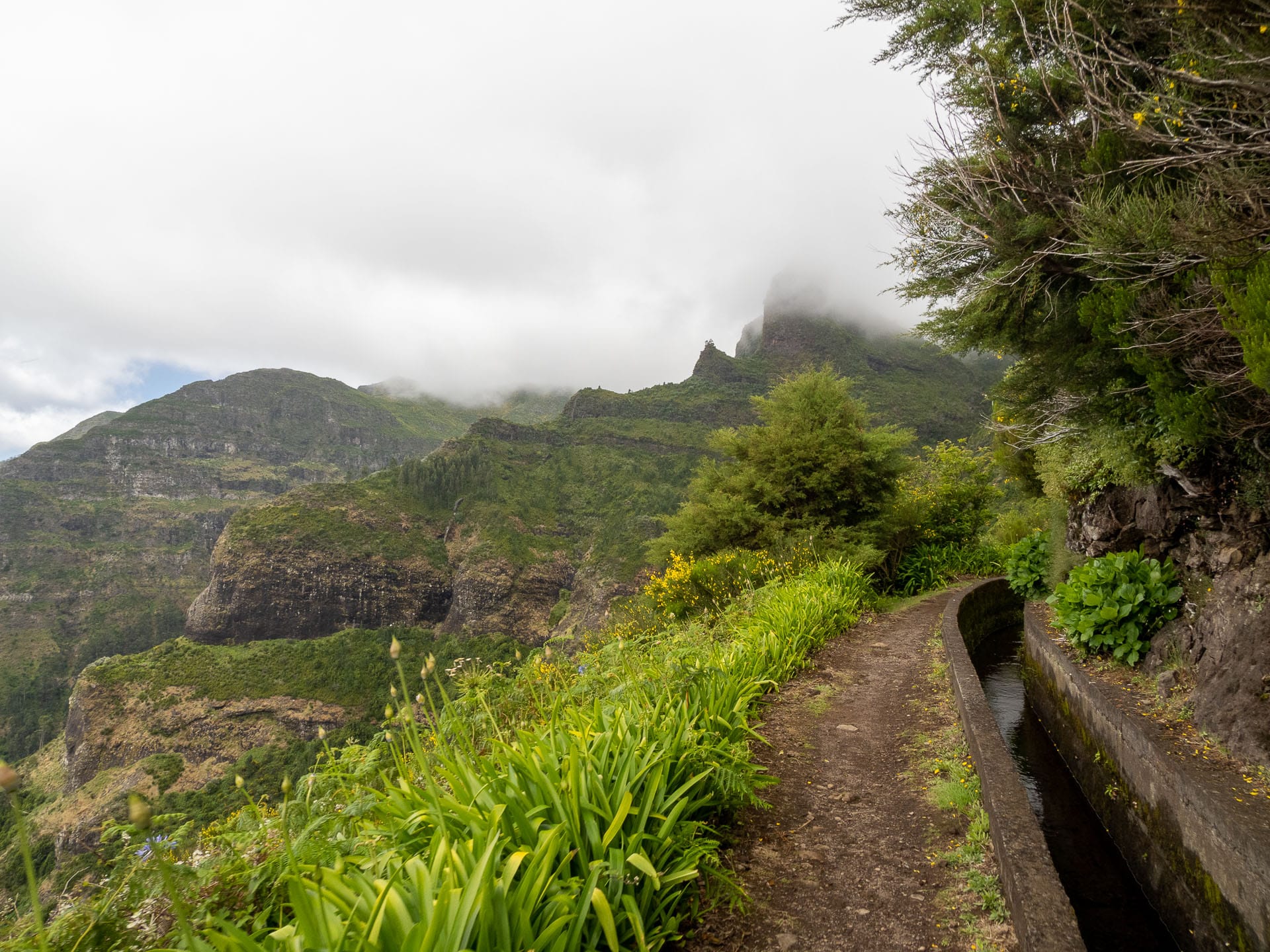 levada madeira 011