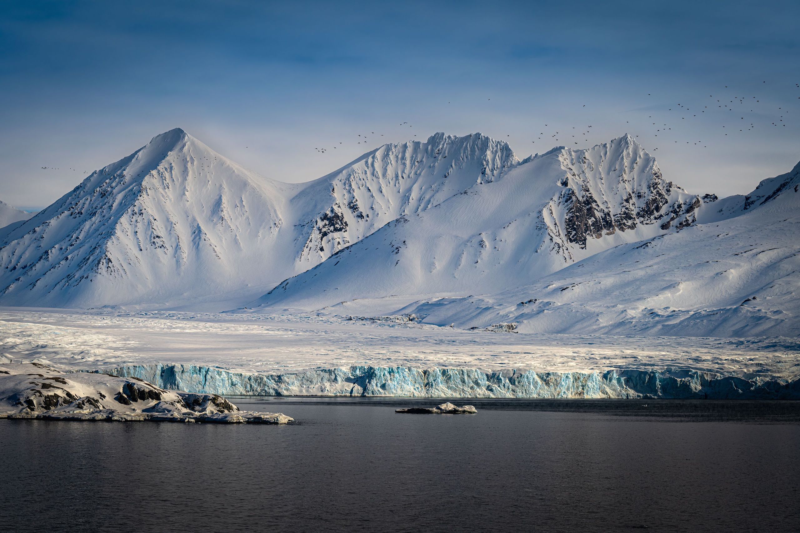 snow covered mountain range with a glacier and calm arctic ocean with several kittiwake birds