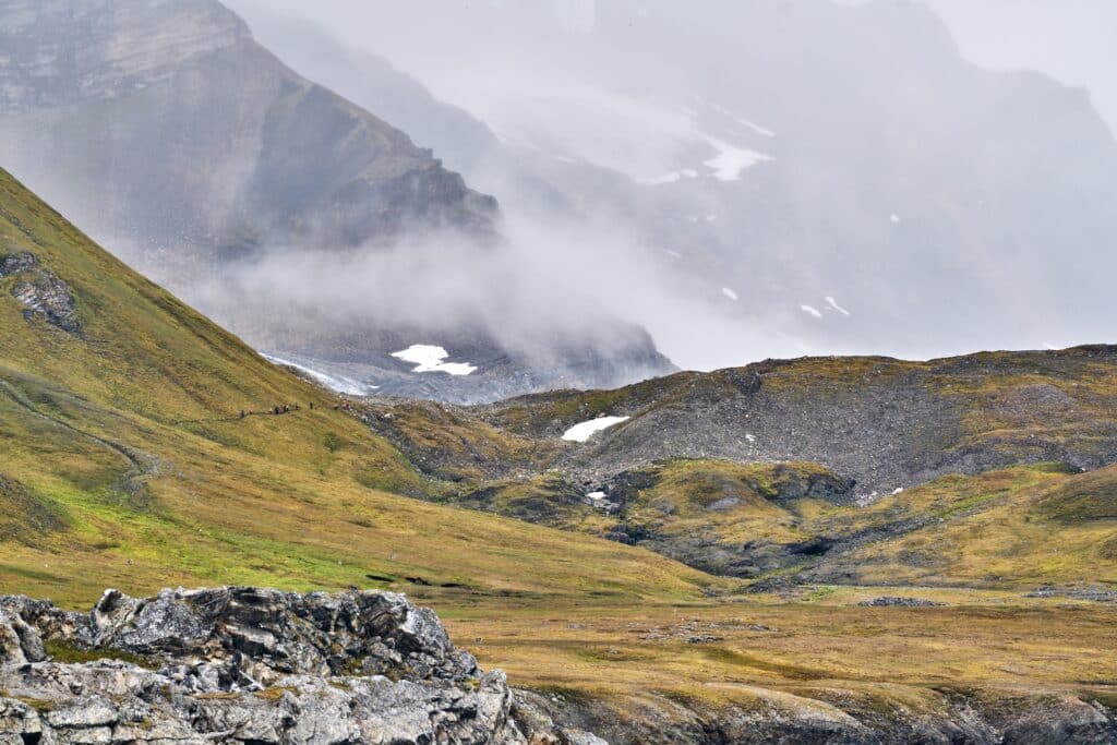 beards valley