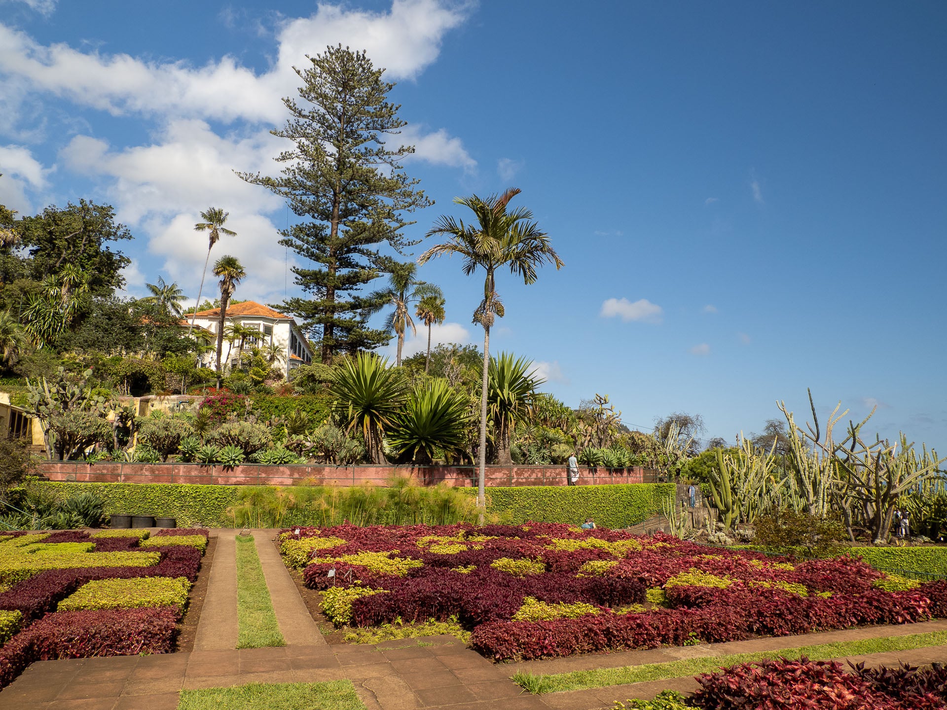 madeira botanic garden 001